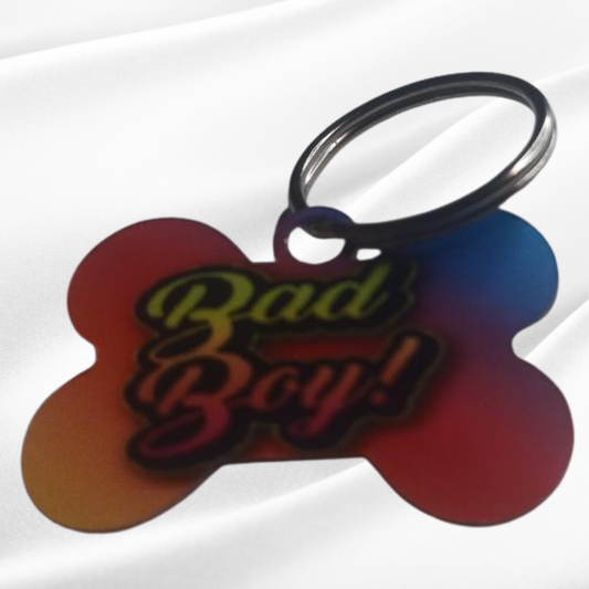 Bad Boy